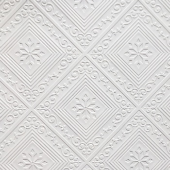 Gypsum ceiling panel #262