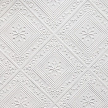 Gypsum ceiling panel #262